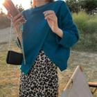 Slit Sweatshirt / Leopard Midi A-line Skirt