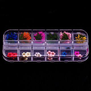 Floral Nail Art Decoration With Case As Shown In Figure - One Size