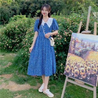 Lace Collar Panel Floral Dress