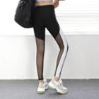 High-waist Mesh-trim Sports Leggings Charcoal Gray - One Size