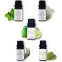Aster Aroma - Organic Essential Oil 10ml - 5 Types