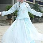 Hanfu Set: Long-sleeve Embroidered Top + Maxi Skirt