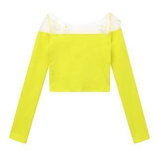 Long-sleeve Floral-accent Mesh Panel Crop Top