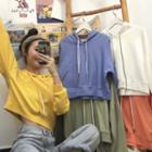Multi-color Cropped Long-sleeve Sweatshirt