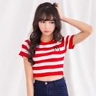 Short Sleeve Stripe Knit Cropped Top