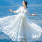 Long-sleeve Chiffon Maxi Dress