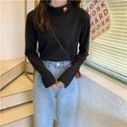 Long-sleeve Turtle-neck Embroidered T-shirt