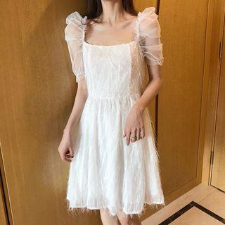 Mesh Panel Fringed Short Sleeve A-line Dress