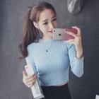 Cropped Long-sleeve Knit Top