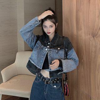 Two-tone Panel Denim Cropped Jacket