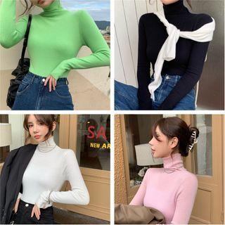 Long-sleeve Turtleneck Plain Slim-fit Top