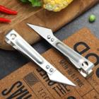 Stainless Steel Fish Bone Tweezers With Razor