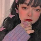 Lace Butterfly Earring / Open Ring / Brooch / Hair Clip