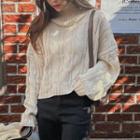 Turtle-neck Cable-knit Cropped Sweater Beige - One Size
