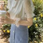 Dotted Lace-sleeve Top