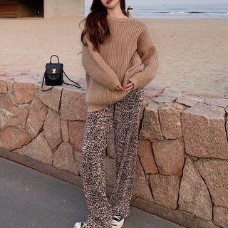 Plain Knit Sweater / Plain T-shirt / Leopard Pants