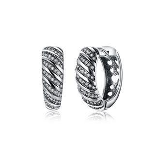 925 Sterling Silver Fashion Elegant Geometric Cubic Zirconia Stud Earrings Silver - One Size
