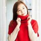 Turtle-neck Long Knit Top