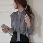 Long-sleeve V-neck Sheer Chiffon Blouse