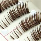 False Eyelashes #ly-3 10 Pairs - One Size
