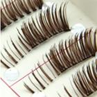 False Eyelashes #ly-3 10 Pairs - One Size