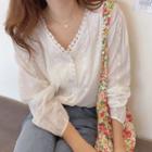 Lace Trim Embroidered V-neck Blouse