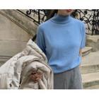 Mock-neck Short-sleeve Knit Top One Size