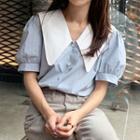 Short-sleeve Pointed Collar Blouse
