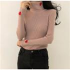 Turtleneck Heart Embroidered Top