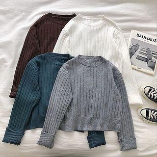 Plain Rib Knit Long-sleeve Knit Top