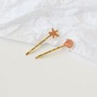 Set Of 2: Shell / Starfish Hair Pin
