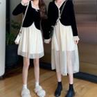 Mock Two-piece Long-sleeve Mesh Dress (various Designs)