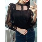 Lace-detail Sheer Top