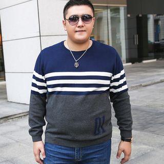Plus Size Color Block Striped Knit Top