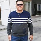 Plus Size Color Block Striped Knit Top
