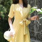Polka Dot V-neck Short-sleeve A-line Dress