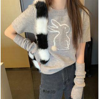 Short-sleeve Rabbit Sweater With Arm Sleeves