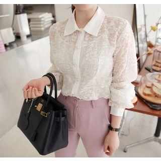 Faux-pearl Button Textured Sheer Blouse
