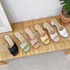 Open-toe Block-heel Pastel Mules