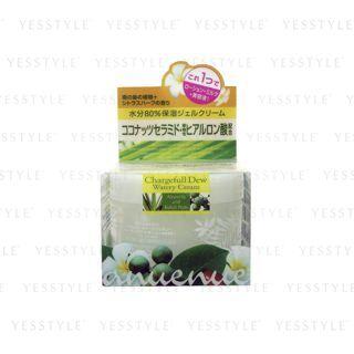 Bcl - Anuenue Chargefull Dew Watery Cream 110g