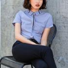 Set: Short-sleeve Work Shirt + Dress Pants + Pencil Skirt
