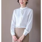 Long-sleeve Mock-neck Chiffon Blouse