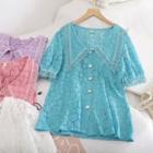 Collar Short-sleeve Lace Top