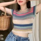Short-sleeve Striped Ribbed Knit Top Blue - One Size