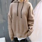 Long Sleeve Round Neck Hooded Knit Top