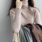 Long-sleeve Turtle-neck Ribbed Knit Top