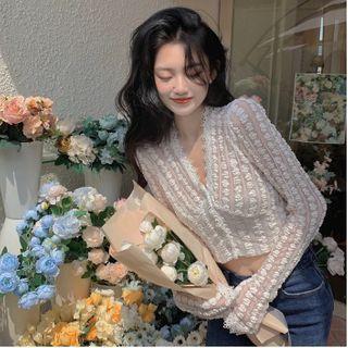 Lace V-neck Long-sleeve Crop Top