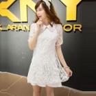 Short Sleeves Lace Collared Dress