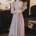 Lace Trim Long-sleeve Mesh Midi A-line Dress