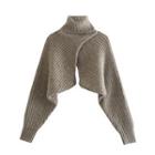 Turtleneck Asymmetrical Cropped Sweater Gray Beige - M